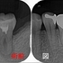 2025 EEdental SUM (1).jpg