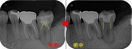 2025 EEdental SUM (2).jpg