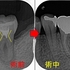 2025 EEdental SUM (2).jpg