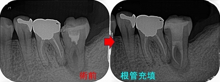 2025 EEdental SUM (3).jpg