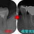 2025 EEdental SUM (3).jpg