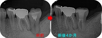 2025 EEdental SUM (4).jpg