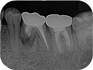 2025 EEdental TOS (2).jpg