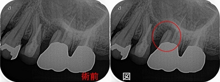 2025 EEdental SUY (1).jpg