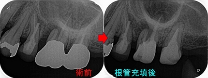 2025 EEdental SUY (2).jpg