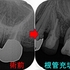 2025 EEdental SUY (2).jpg