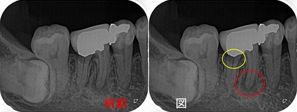 2024 EEdental TAK (1).jpg