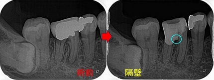 2024 EEdental TAK (2).jpg
