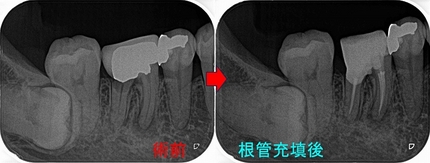 2024 EEdental TAK (3).jpg