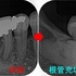 2024 EEdental TAK (3).jpg