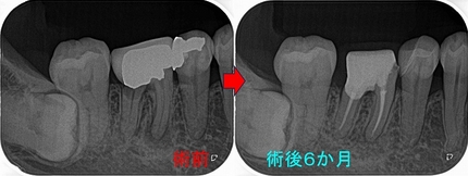 2024 EEdental TAK (4).jpg