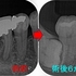 2024 EEdental TAK (4).jpg