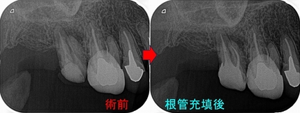 2024 EEdental TAK (5).jpg
