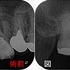 2025 EEdental HOT (1).jpg