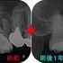 2025 EEdental HOT (4).jpg