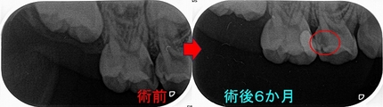 2025 EEdental INS (2).jpg