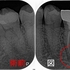 2025 EEdental KUK (1).jpg