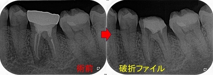2025 EEdental KUK (2).jpg
