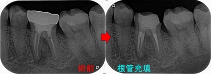 2025 EEdental KUK (3).jpg
