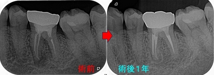 2025 EEdental KUK (4).jpg