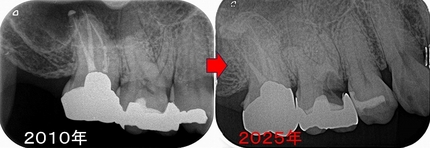 2025 EEdental SIM (1).jpg