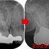 2025 EEdental SIM (1).jpg
