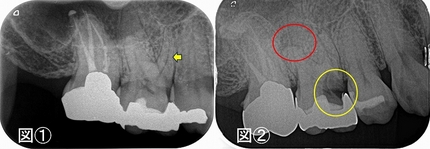 2025 EEdental SIM (2).jpg