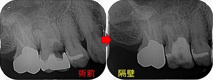 2025 EEdental SIM (3).jpg