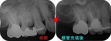 2025 EEdental SIM (4).jpg