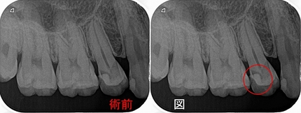 2025 EEdental SUS (1).jpg