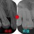 2025 EEdental SUS (2).jpg