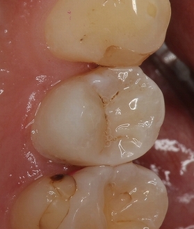 2025 EEdental SUS (3).jpg