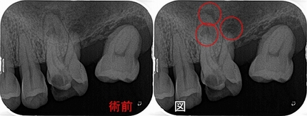 2025 EEdental TOT (2).jpg