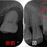 2025 EEdental TOT (2).jpg