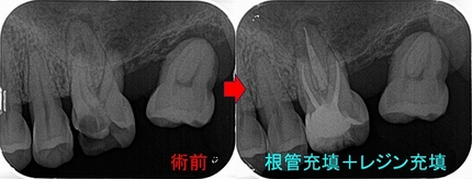 2025 EEdental TOT (3).jpg