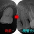 2025 EEdental TOT (3).jpg