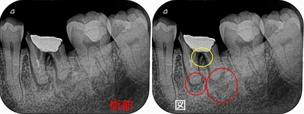 2025 EEdental FJY (1).jpg