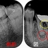 2025 EEdental FJY (1).jpg