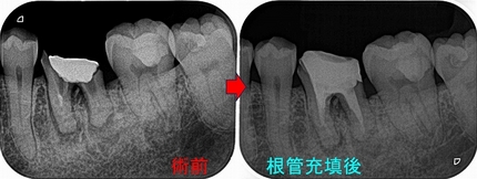 2025 EEdental FJY (3).jpg