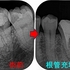 2025 EEdental FJY (3).jpg