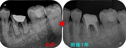2025 EEdental FJY (4).jpg