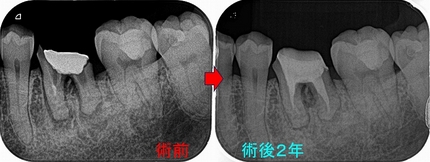 2025 EEdental FJY (5).jpg