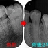 2025 EEdental FJY (5).jpg