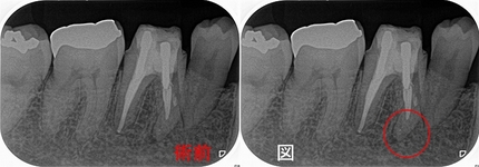 2025 EEdental HIY (1).jpg