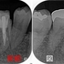 2025 EEdental HIY (1).jpg