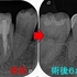 2025 EEdental HIY (3).jpg