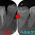 2025 EEdental HIY (4).jpg