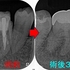 2025 EEdental HIY (6).jpg