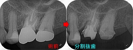 2025 EEdental IWA (2).jpg