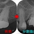 2025 EEdental IWA (2).jpg